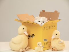 -肆俩肖像STUDIO(宝山万达店)
