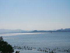 -深圳湾公园(南山区)