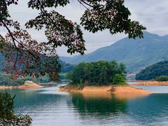 -广州市流溪河国家森林公园