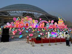 -沈阳奥体冰雪嘉年华