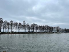 -东湖落雁景区