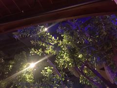 景观位-绿茶餐厅(乐峰广场店)