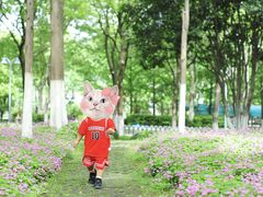 -后襄河公园