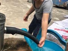 -小六农家乐(崇明西沙湿地店)