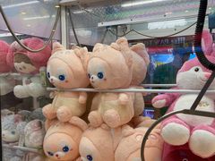 -PAWTOY爪e玩偶店(天兴罗斯福店)