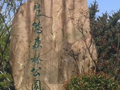 -昆山城市生态森林公园