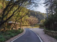 -木兰云雾山