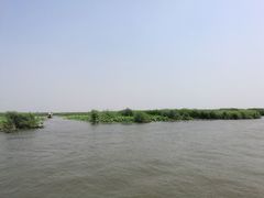 -白洋淀景区