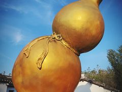 -溱湖国家湿地公园