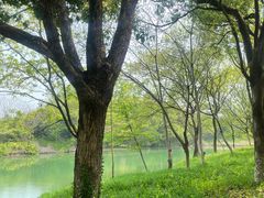 -西溪国家湿地公园