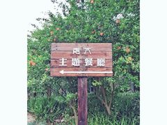 -日出青木·杭帮菜名店