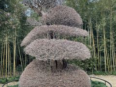 -苏州河梦清园环保主题公园