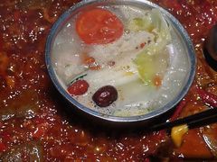 -二荆条·蜀鲜汇城市森林火锅