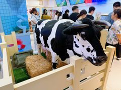 -红星前进面包牛奶公司(君太店)