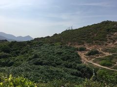 -杨梅坑