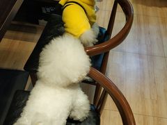 -喜狗宠物生活馆(岳州路店)