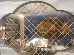 -鼎泰丰(当代商城店)