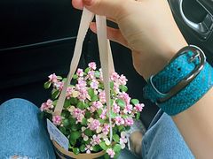 -鹿岛会员店 (龙湖三千集天街店)