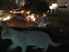 -南京夫子庙国际青年旅舍(平江府路店)