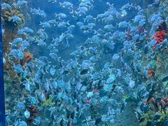 -海合安青岛极地海洋公园