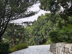 -广州市白云山风景名胜区