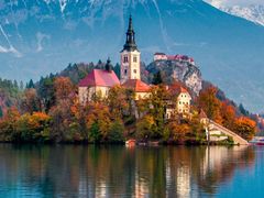 -复星星堡社区(中环二期店)