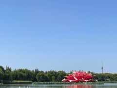 -洛阳市隋唐城遗址植物园