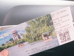 -大湾区中央湿地公园