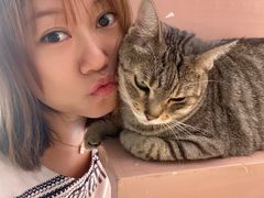 -猫儿山۰猫主题餐厅