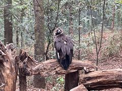 -云南野生动物园