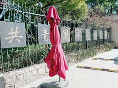 -上海共青森林公园
