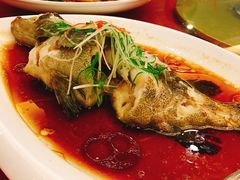 -金石国际大酒店·金丽自助餐厅