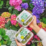 有些食物就是为春天而生的啊!