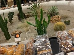 -OUR Bakery(SKP-S店)