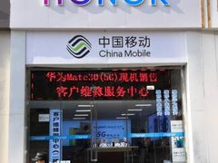 -荣耀授权专卖店(黄浦浙江中路店)