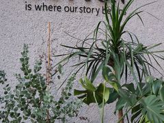 -COTTON CAFE(德信·中外公寓店)