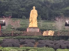 -天台国家森林公园水上茶乡九鹏溪