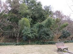 -杭州黄龙洞