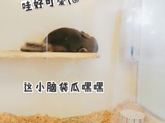 -龙猫仔乐园(惠福东路店)