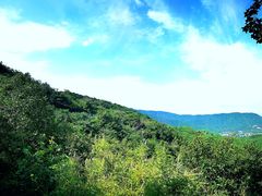 -北京西山国家森林公园