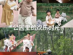 -合肥滨湖国家森林公园