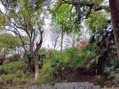 -白沙古井