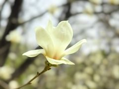 -沈阳植物园