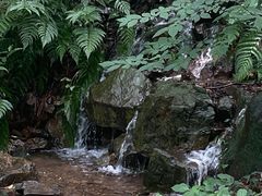 -惠山国家森林公园