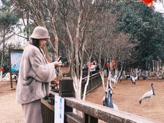 -鄱阳湖国家湿地公园