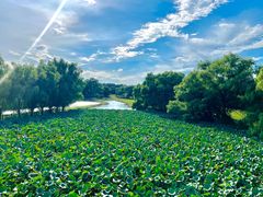 -北京麋鹿生态实验中心