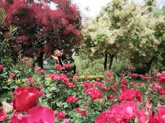 -西安汉城湖景区