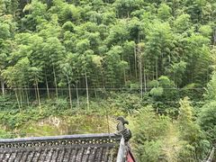 -长谷洞天