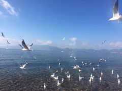 -抚仙湖禄充风景区