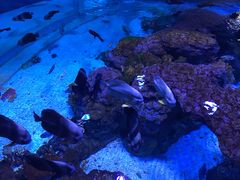 -成都浩海立方海洋公园